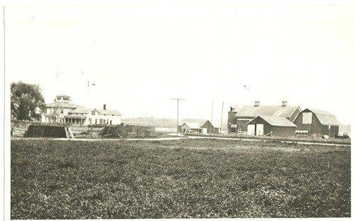 Old homestead